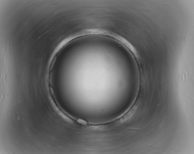 X0000116131381200911231226