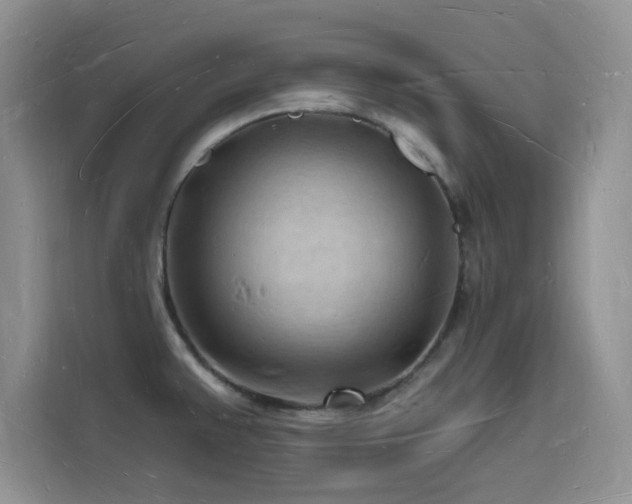 X0000116131383200911231226