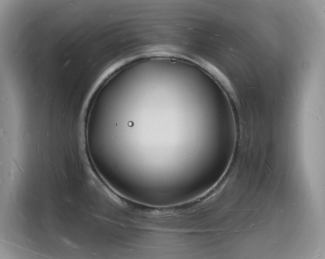 X0000116131384200911231226