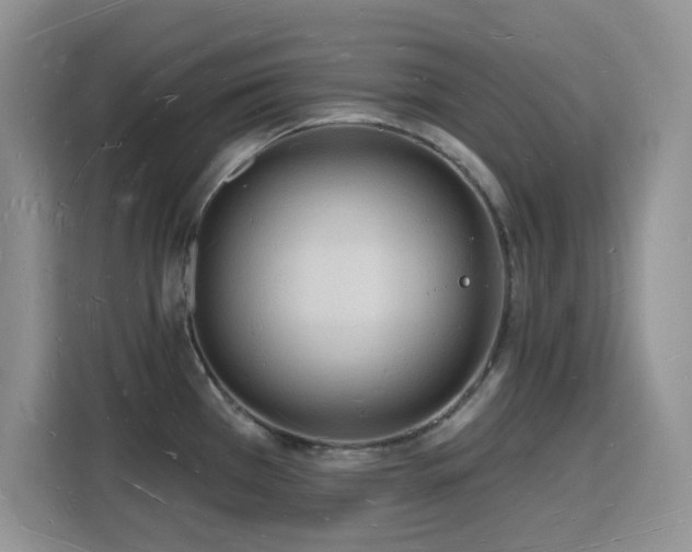 X0000116131385200911231226