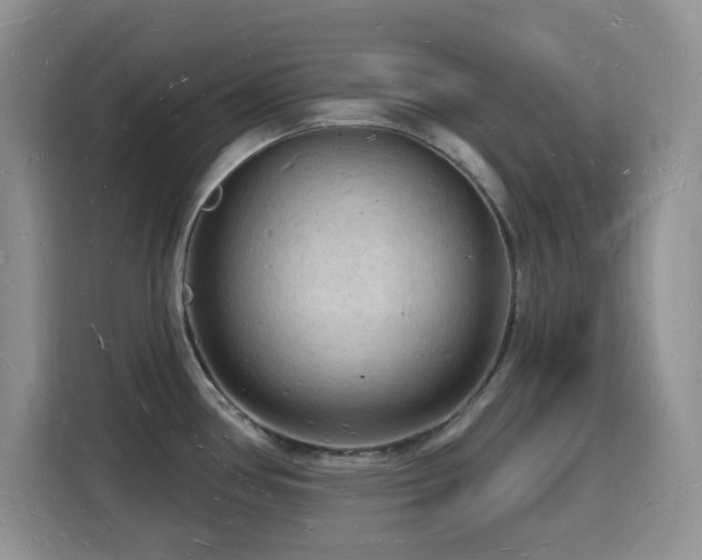X0000116131386200911231226