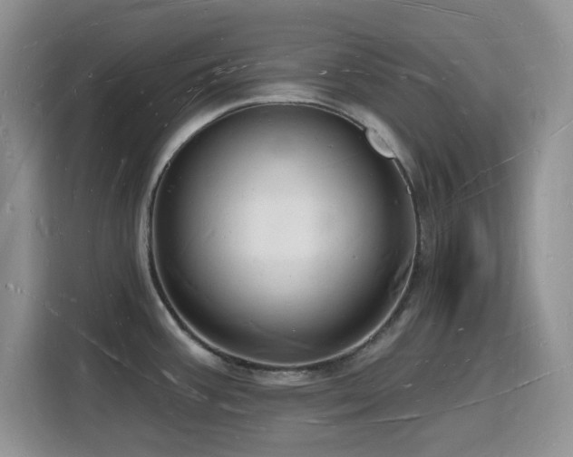 X0000116131387200911231226