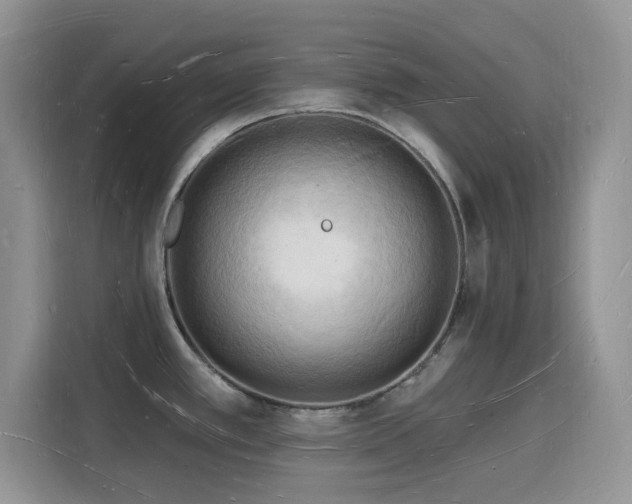 X0000116131389200911231226