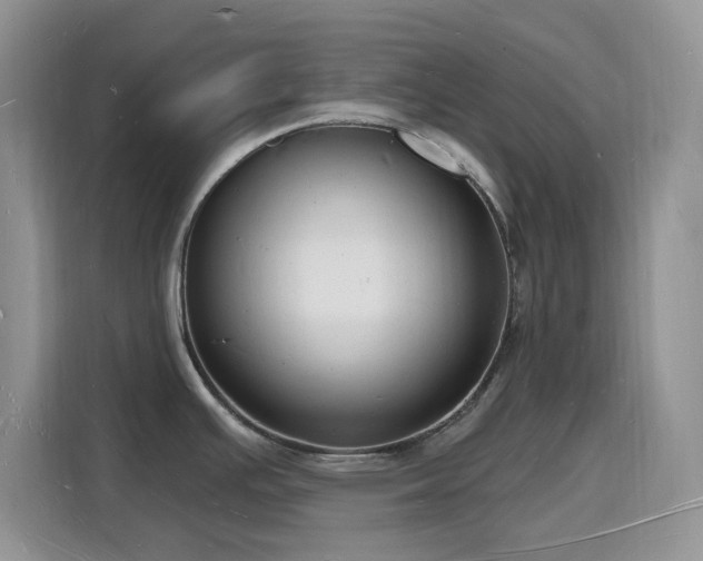 X0000116131391200911231226