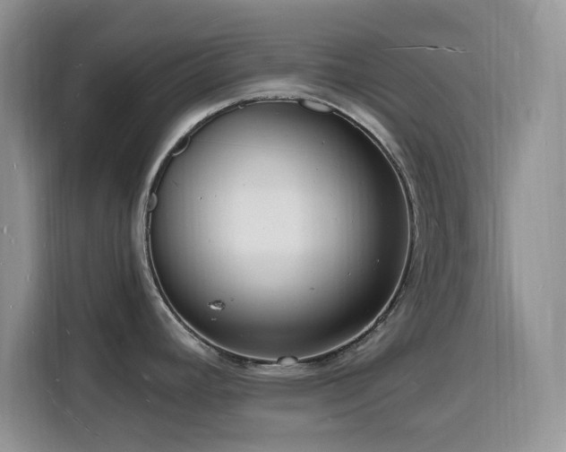 X0000116131392200911231226