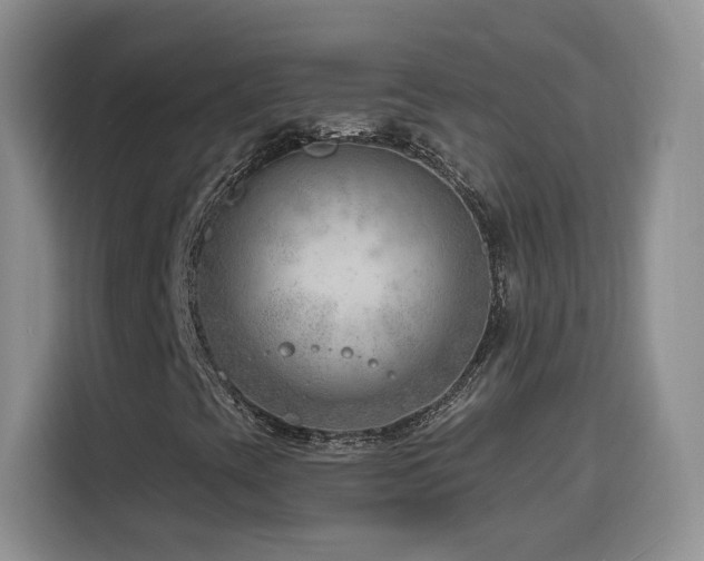 X0000116131393200911231226