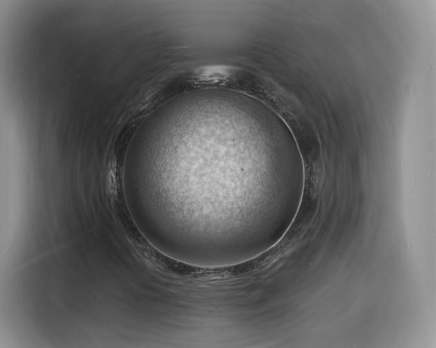 X0000116131394200911231226