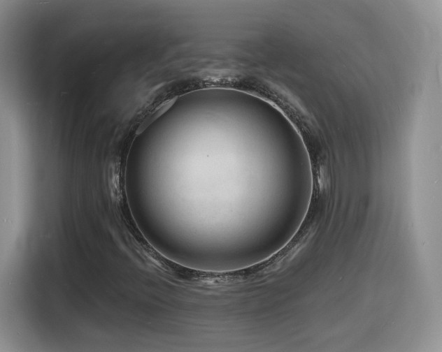 X0000116131396200911231226