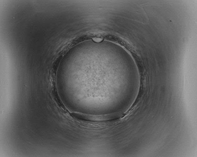 X0000116131397200911231226