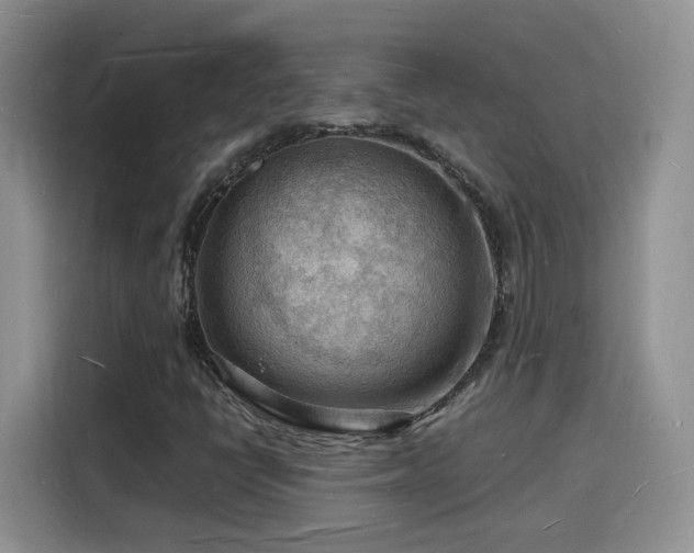 X0000116131398200911231226