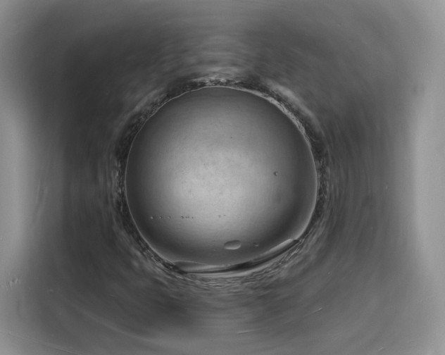 X0000116131399200911231226