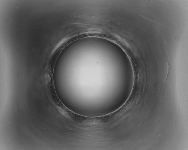 X0000116131400200911231226