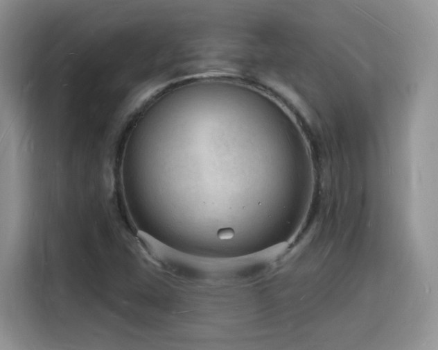 X0000116131407200911231226