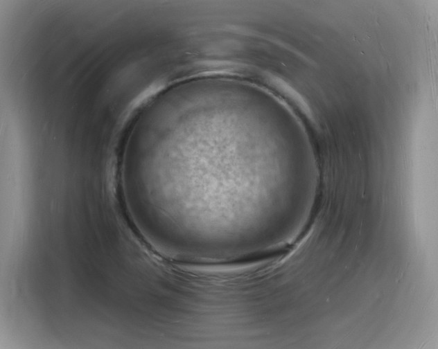 X0000116131411200911231226