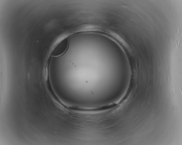 X0000116131413200911231226