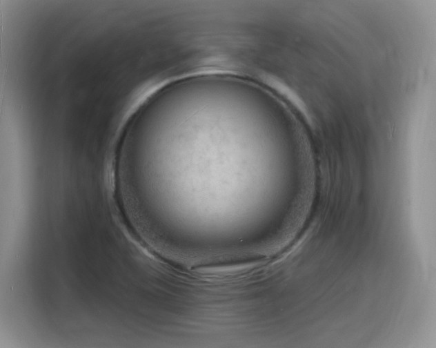 X0000116131415200911231226