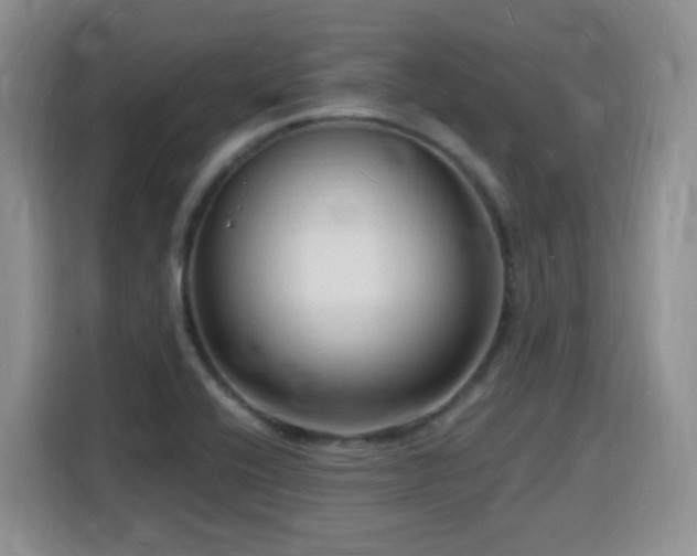 X0000116131416200911231226