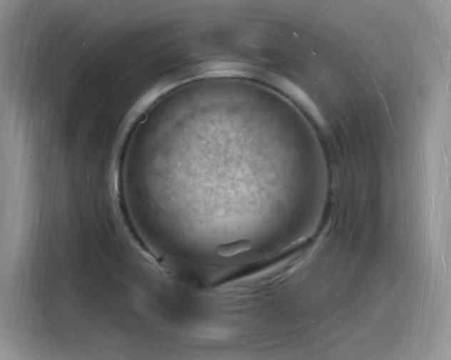 X0000116131419200911231226