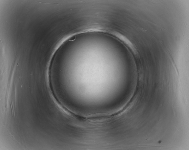 X0000116131423200911231226