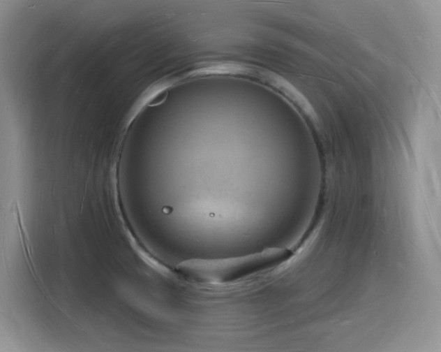 X0000116131425200911231226