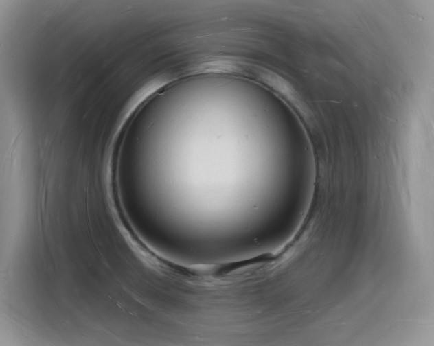 X0000116131426200911231226