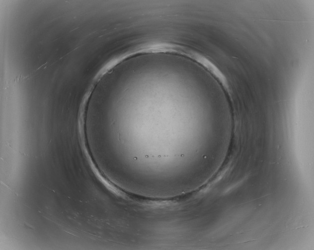 X0000116131429200911231226