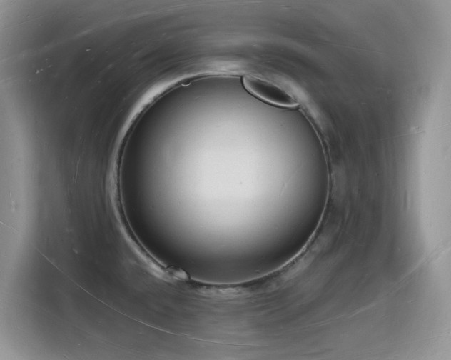 X0000116131432200911231226