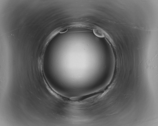 X0000116131433200911231226