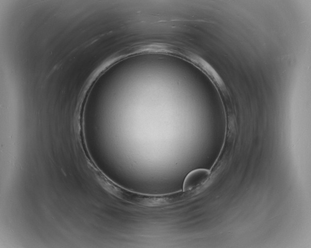 X0000116131435200911231226