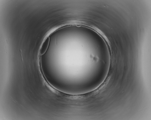 X0000116131437200911231226