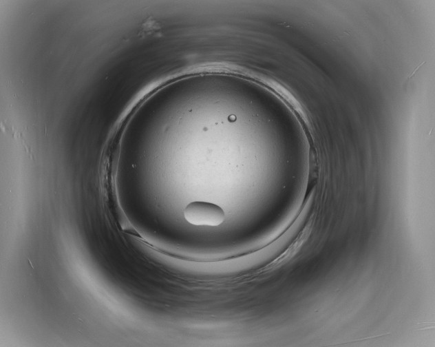 X0000116131438200911231226