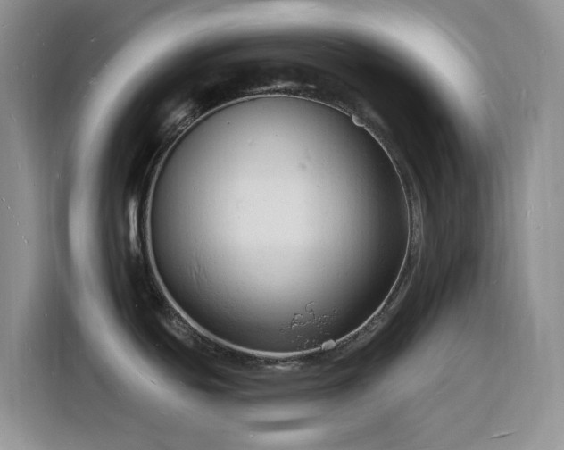 X0000116131439200911231226