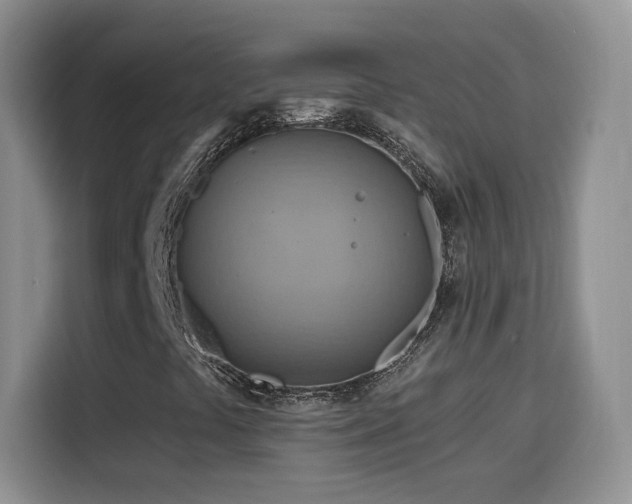 X0000116131441200911231226