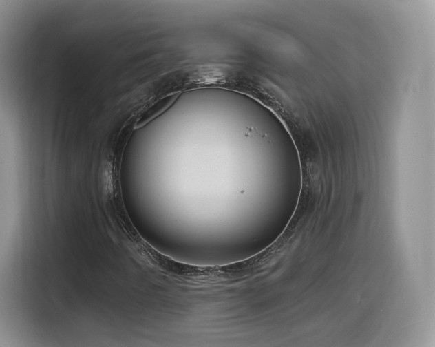 X0000116131442200911231226