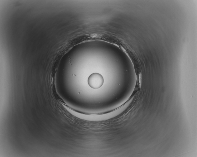 X0000116131443200911231226