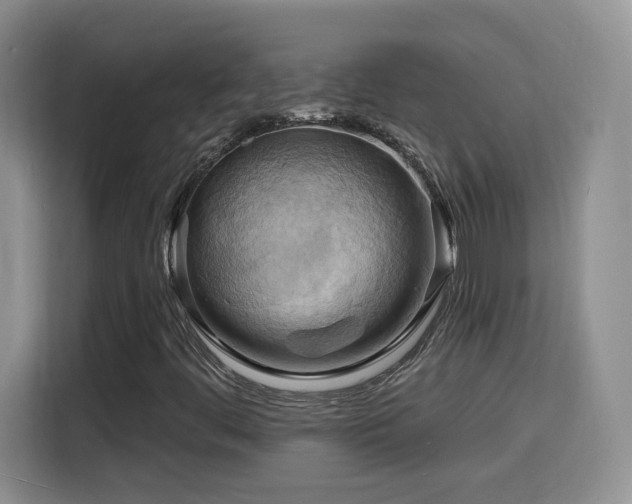 X0000116131444200911231226