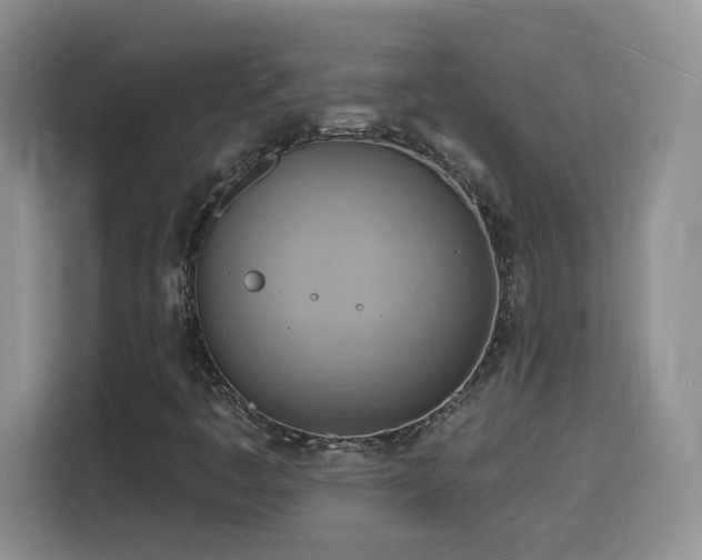 X0000116131445200911231226