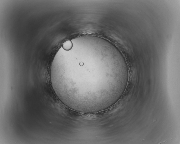 X0000116131446200911231226