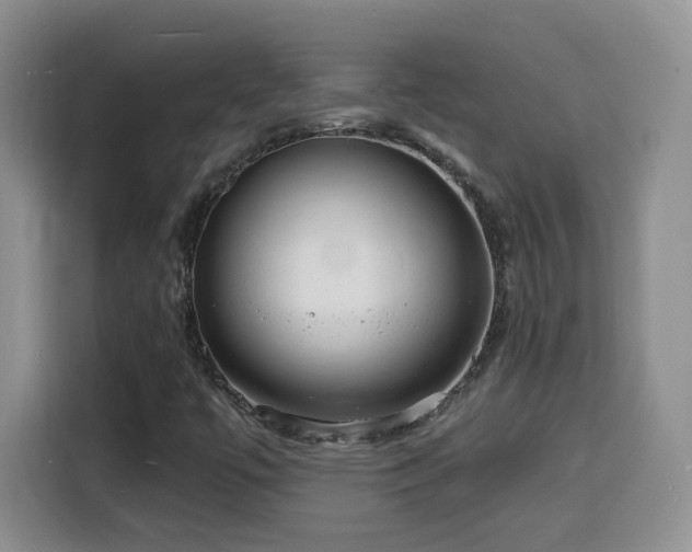 X0000116131447200911231226