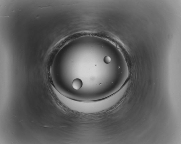 X0000116131448200911231226
