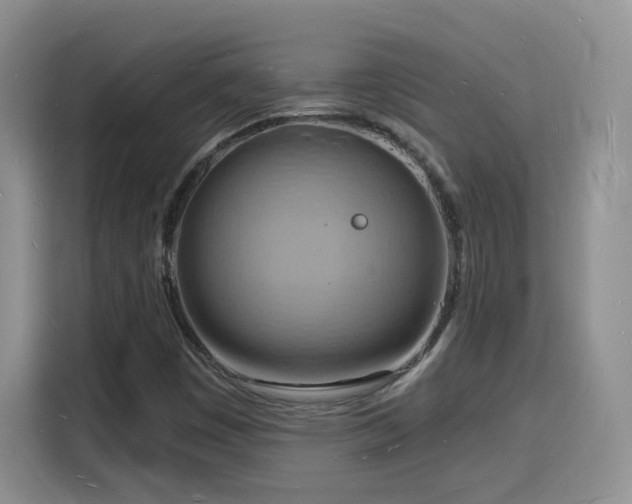 X0000116131449200911231226