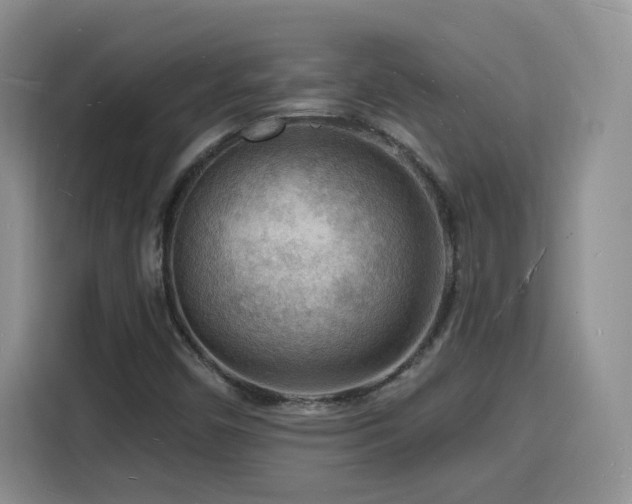 X0000116131450200911231226