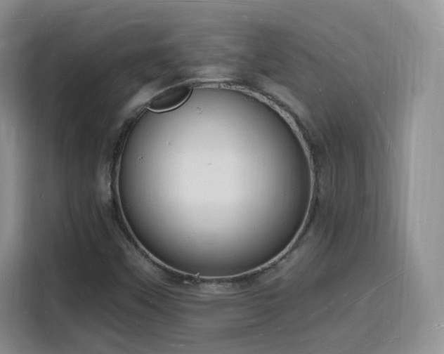 X0000116131451200911231225