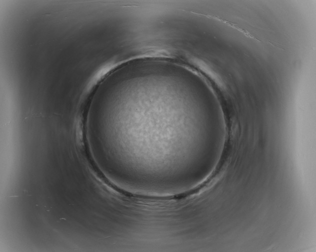 X0000116131455200911231225