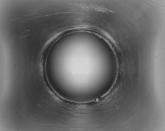 X0000116131456200911231225
