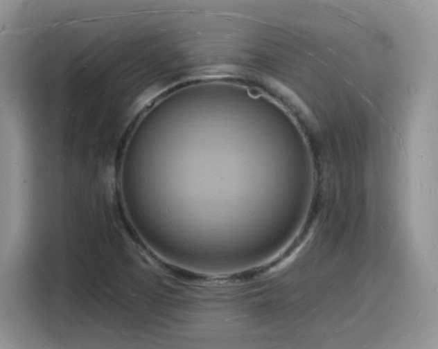X0000116131457200911231225