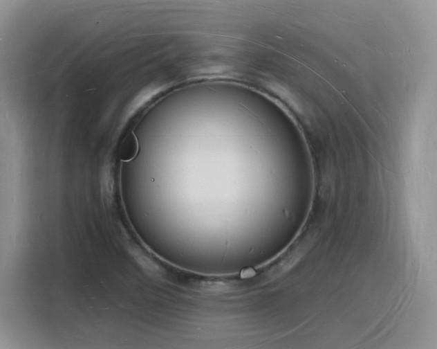 X0000116131458200911231225