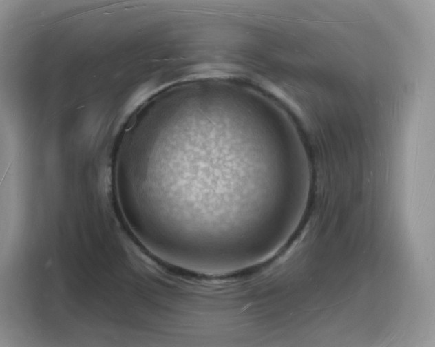 X0000116131459200911231225