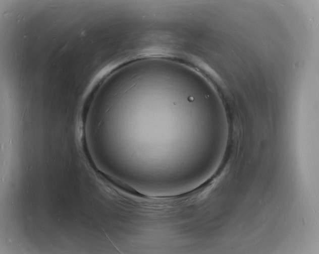 X0000116131461200911231225