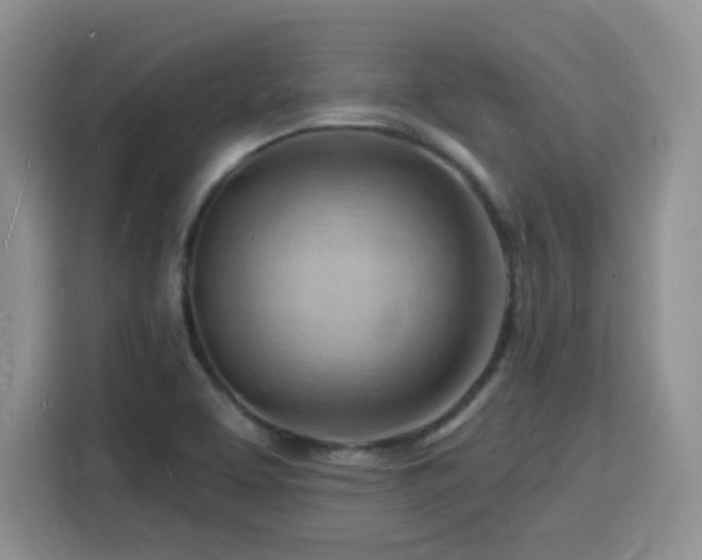 X0000116131463200911231225